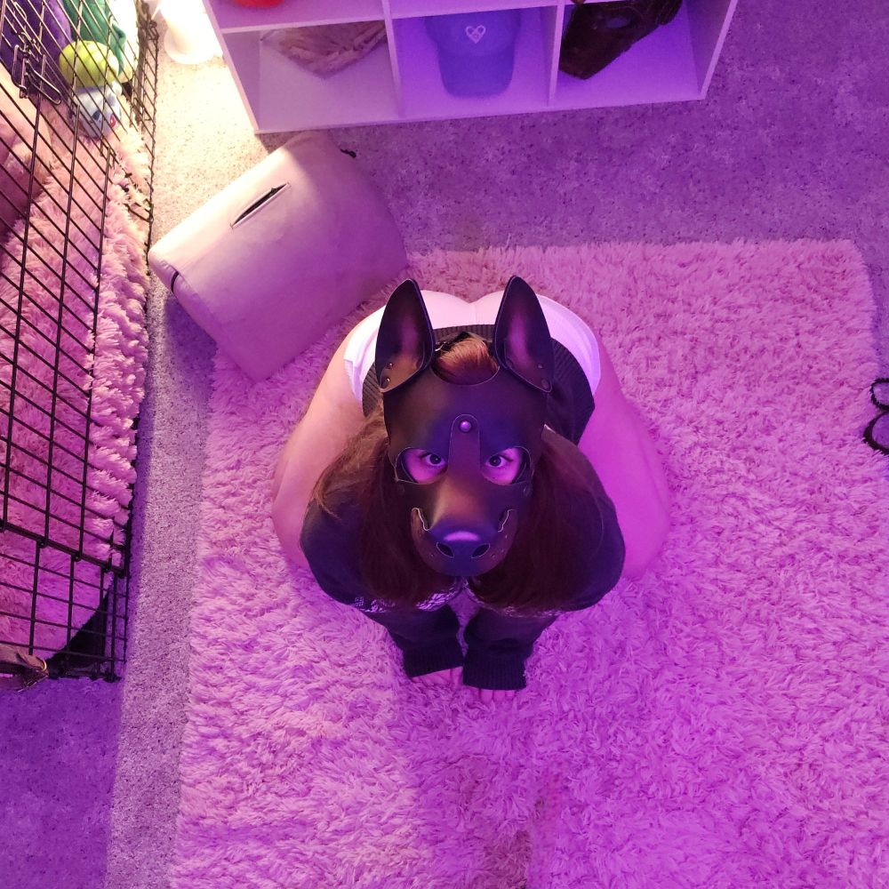 petplay, puppyplay, puppygirl, puphood