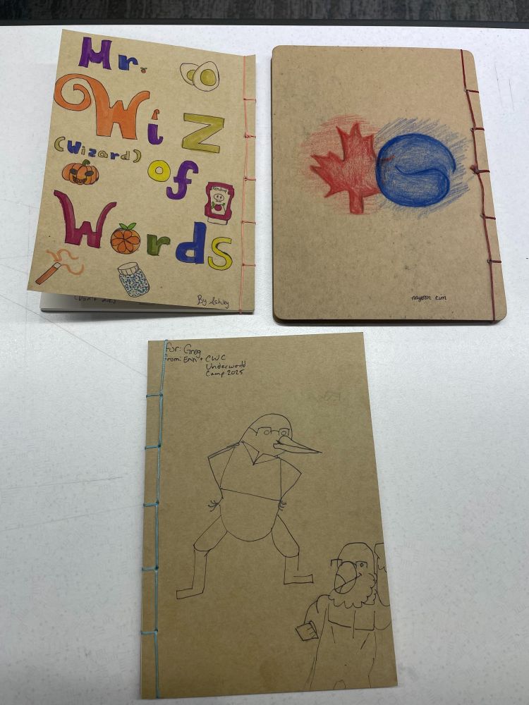Three thread-bound notebooks with red, pink and light blue thread bindings and hand-drawn art on the themes of Canada-Korea collaboration and various camp teachers.