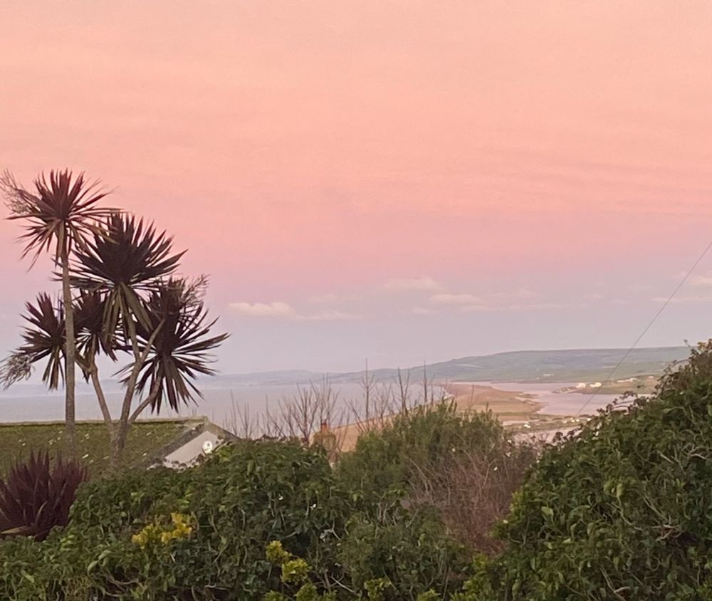 Photo from Dorset UK just after sunrise. Multicoloured sky graduating down to beach and sea. Palm tree on left
