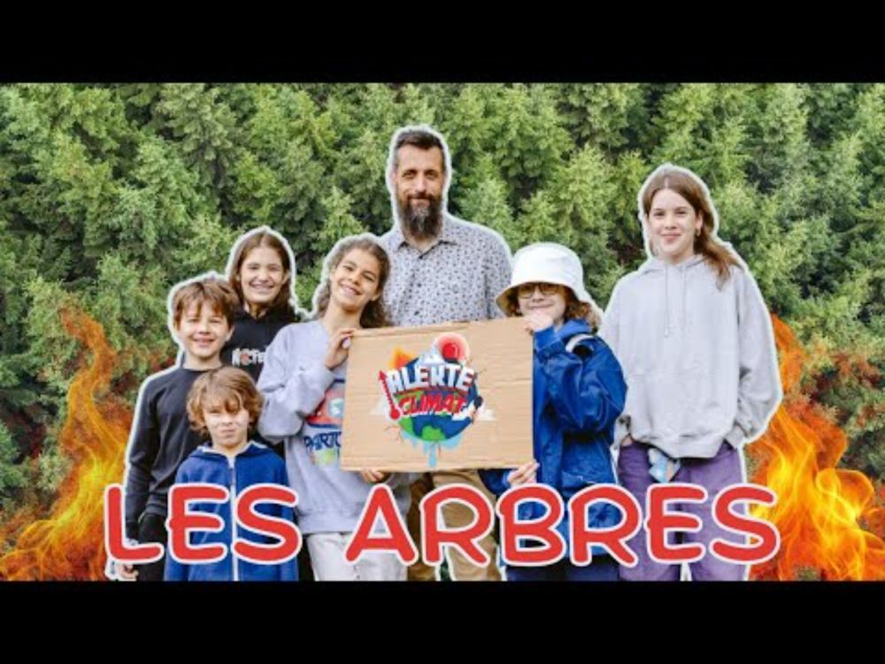 Alerte climat - Les arbres