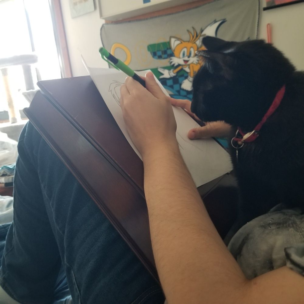 Black cat sitting on a woman's chest. There is a pencil in the woman's hand held above paper on a wooden drawing box. 