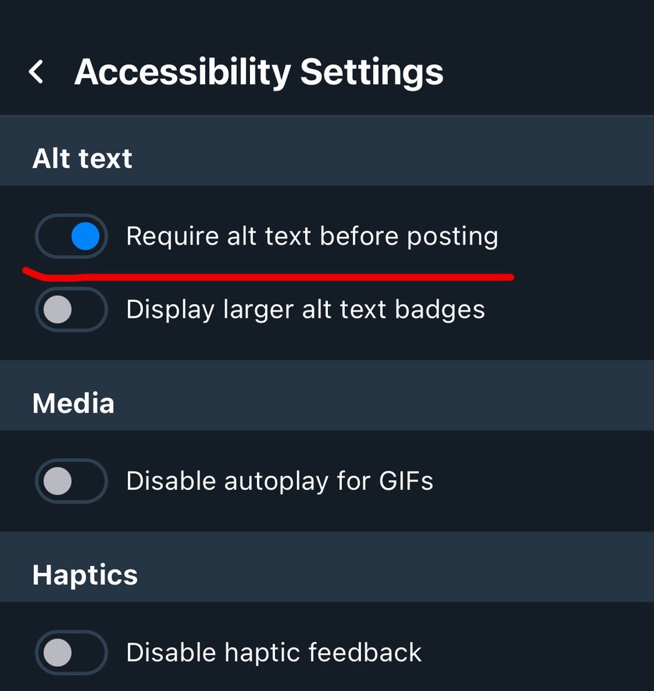 Screenshot of the bluesky accessibility settings that shows the “require alt text before posting” setting toggled on and underlined for emphasis. 