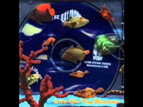 the halibuts "suicide bay "