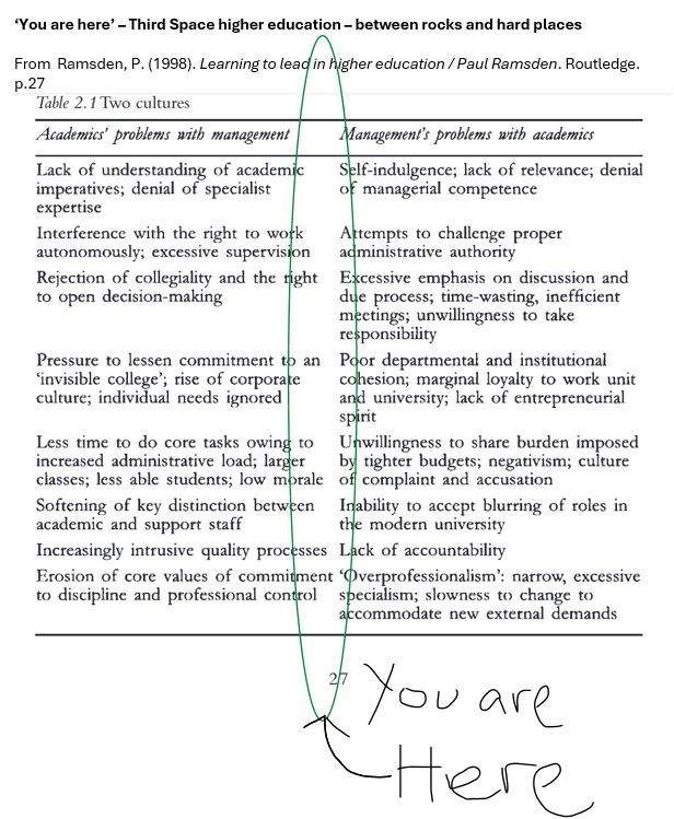 Two lists describing academics' problems with management and management's problems with academics. Space in between the two lists labelled as 'You are here' in reference to 3rd space practitioners