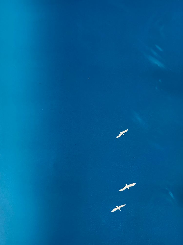 A photo of a large print with a textured blue sky and three smallish birds flying across it 