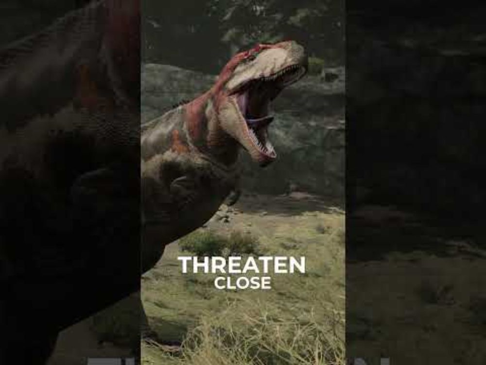 Distant Calls Showcase: Hear the Call