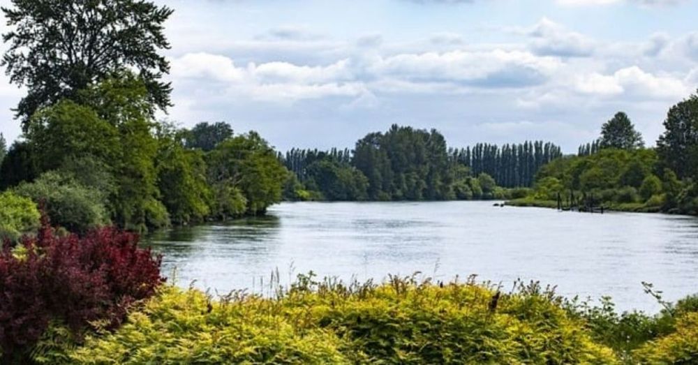 A calm scene of a large river surrounded by trees, in summer