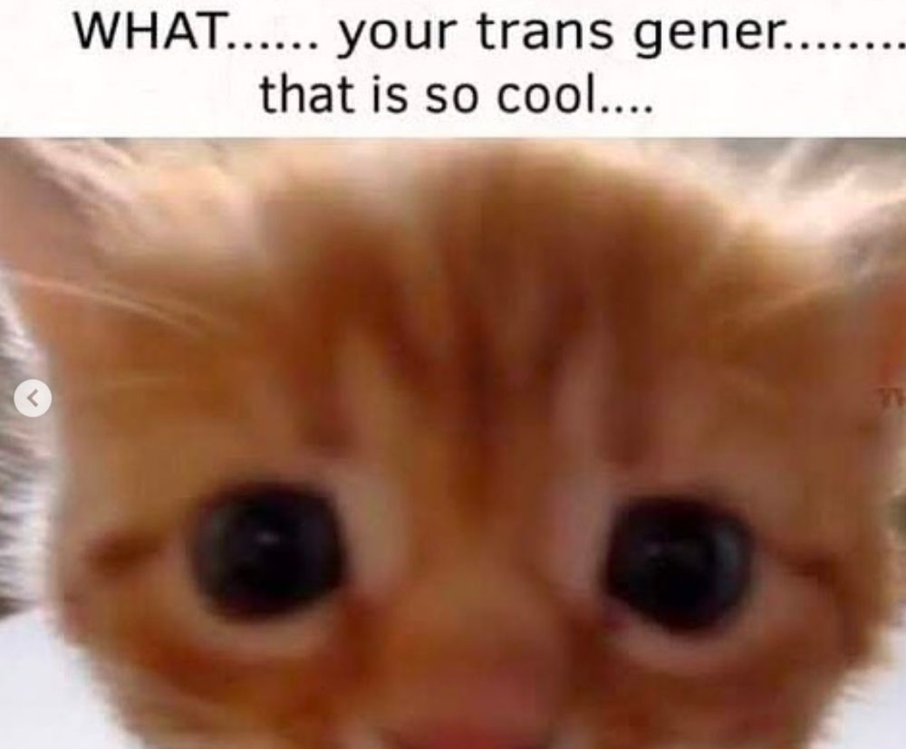 Close up of a cat's forehead with the caption "WHAT....... your trans gener......... that is so cool....." 