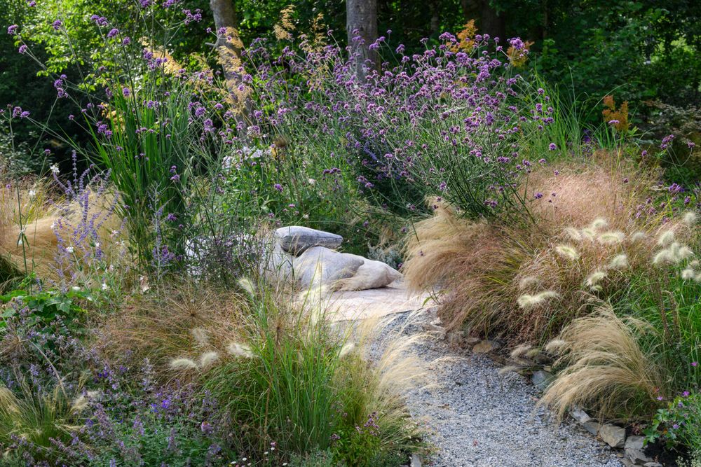 A scenic view of a garden path lined with wild grasses and purple flowers, leading through a tranquil, natural landscape.