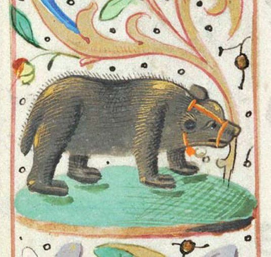 Image from an early modern manuscript of a brown bear with a friendly face wearing an orang muzzle and standing on a green platform. 