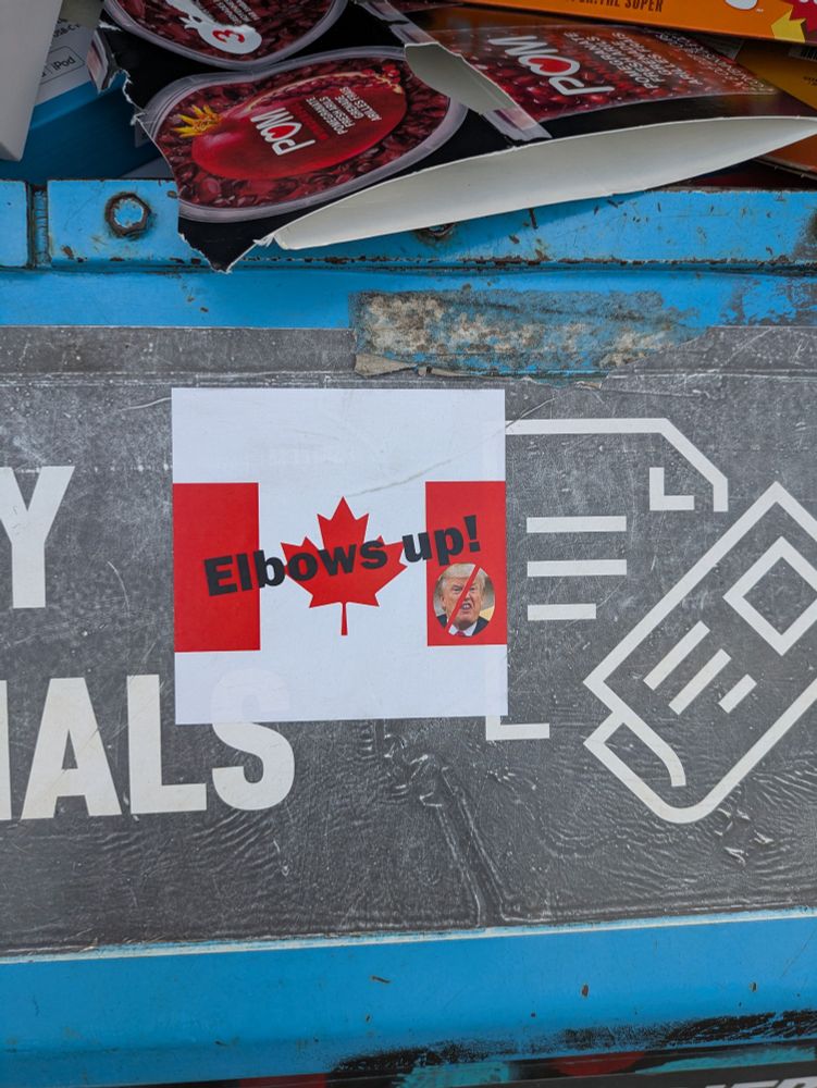 Elbows up! On a Canadian flag with Mayor Trump slashed 