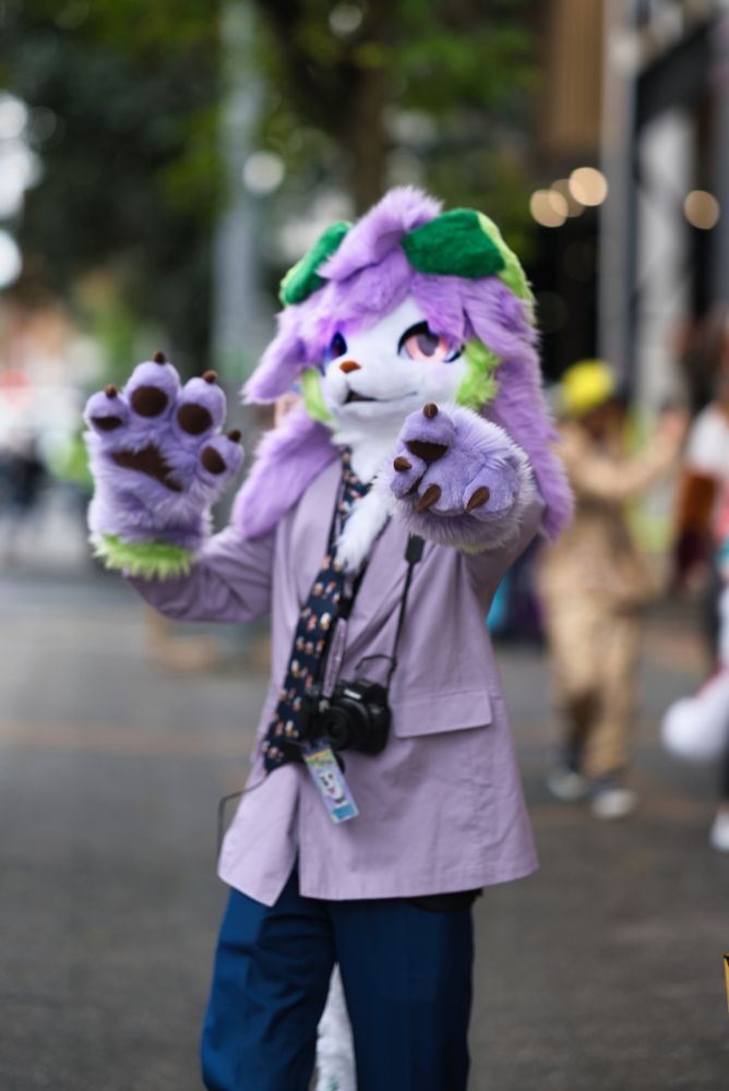 Photo of Treble looking at the camera with their paw pointing towards the camera too. Photo taken by Jarrod Feng.