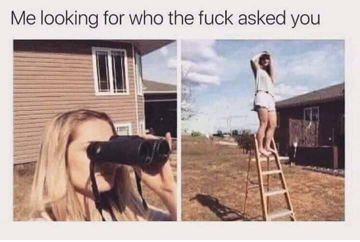 "Me looking for who the fuck asked you."
Blonde white woman looking thru big black binoculars and same white woman on the second to highest rung on a step ladder with her hand shelling the sun from her eyes so she can look far. 