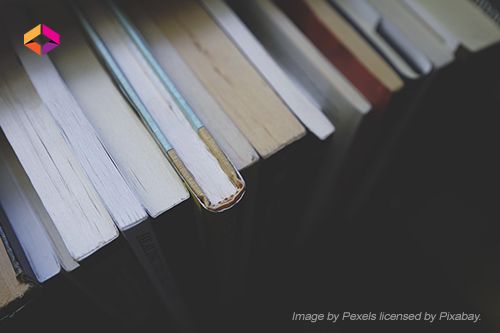 A standing row of textbooks 