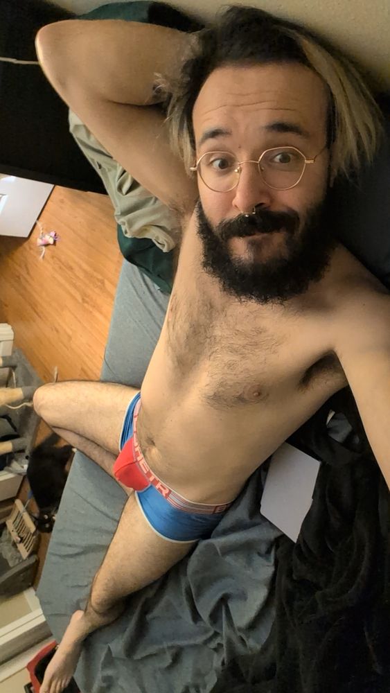 Grey in red and blue briede laying in bed 
