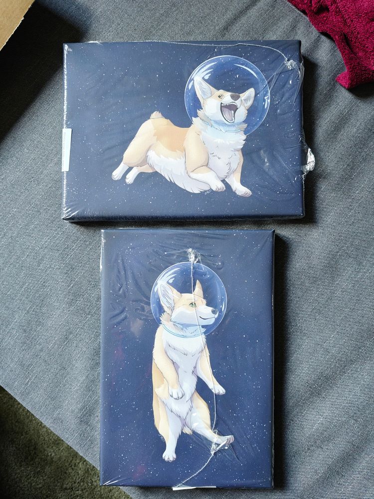 Two canvas with a feral corgi flying in space and wearing a glass globe