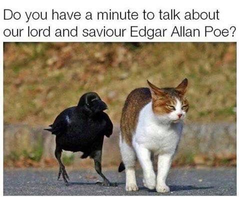 A cat and a crow walking along a path side by side. The crow is saying “Do you have a minute to talk about our lord and saviour Edgar Allen Poe?”
