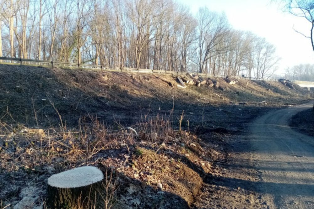 Erhalt der letzten Bäume am Südschnellweg in Hannover ohne den Tunnelbau in Döhren zu gefährden - Online-Petition