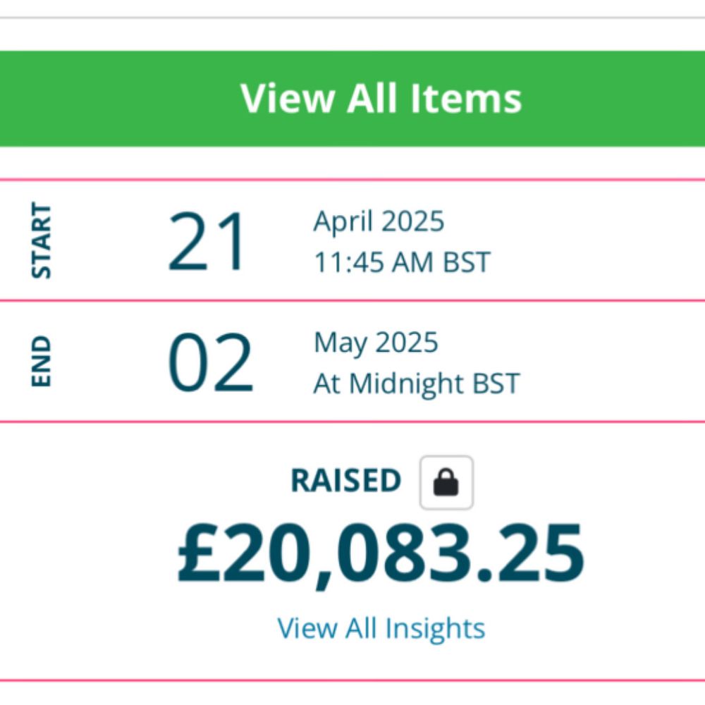 Screengrab of final auction results: £20083.25
