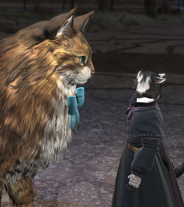 FFXIV screenshot. Rinha'li, a fluffy catboy, stares up at that weird photorealistic fluffy cat mount. The cat has a bow on its neck. The catboy has a cloak that ties on with a bow at the neck.