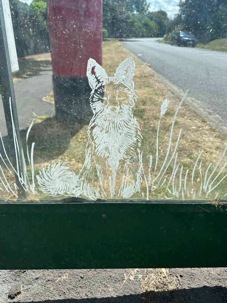 Pretty fox graffiti in white paint on a bus shelter glass. 