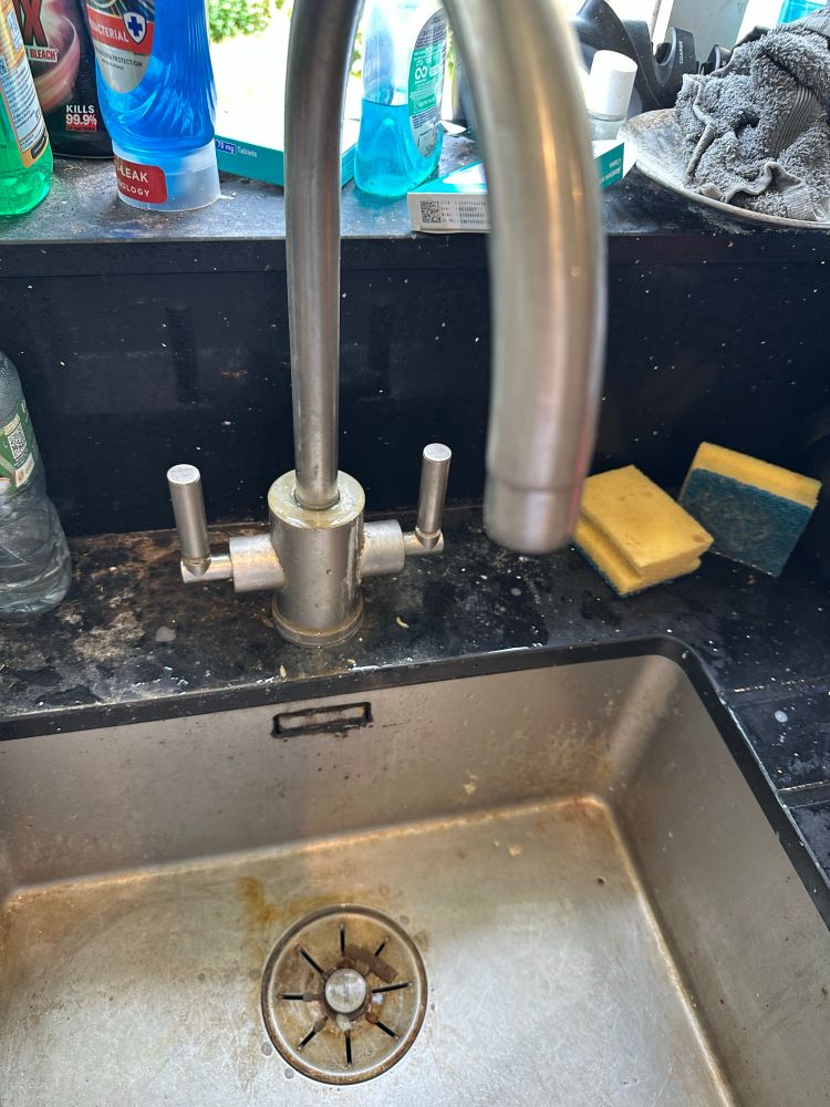 Kitchen sink and double tap with long spout.