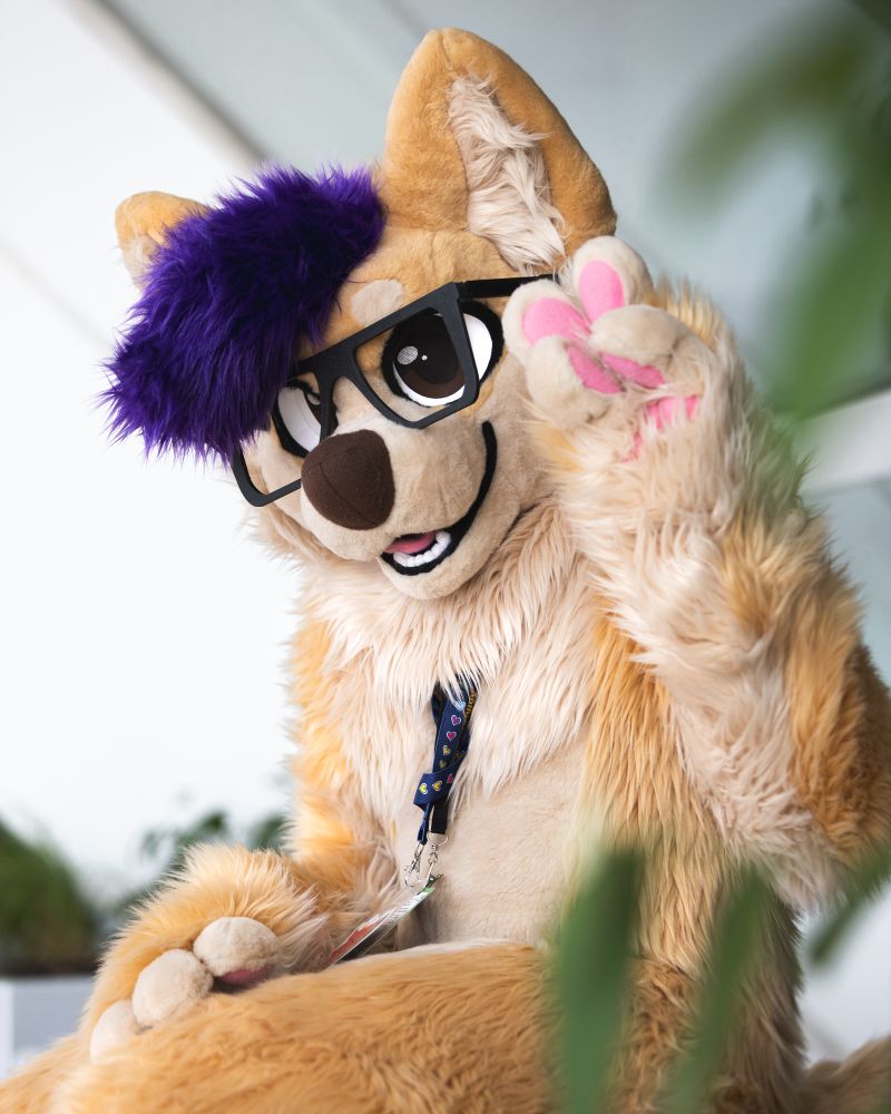 Corgi fursuiter sitting on a bench, making a peace sign