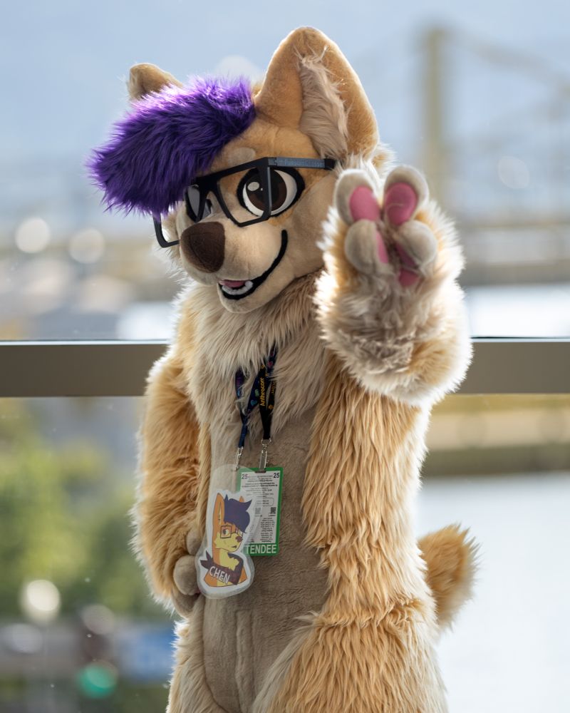 Corgi fursuiter making the peace sign
