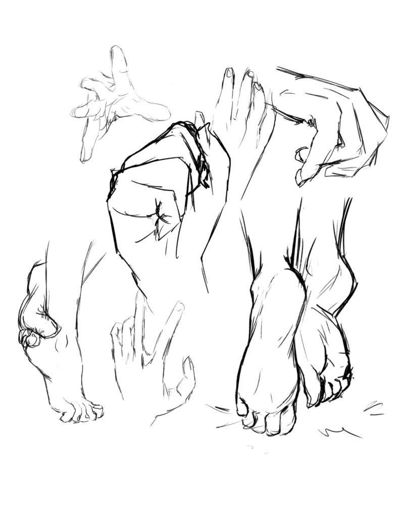 Gesture studies of hands and feet 
