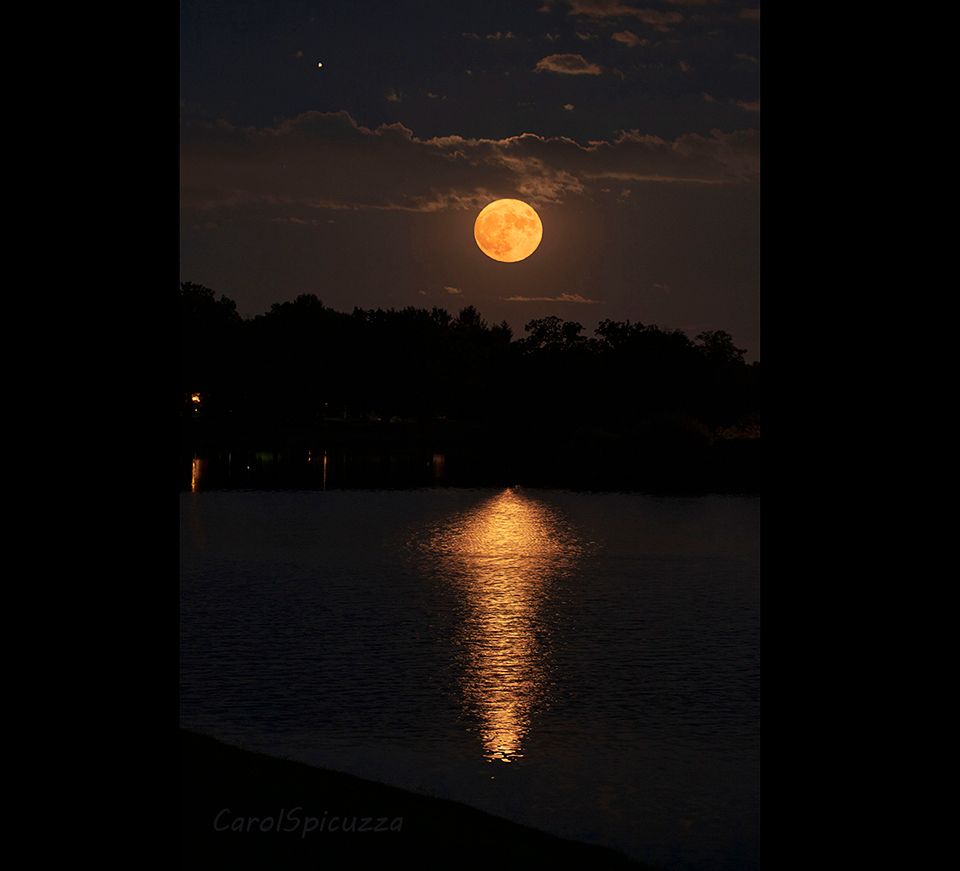 A golden full moon rising over trees and reflected in a lake.