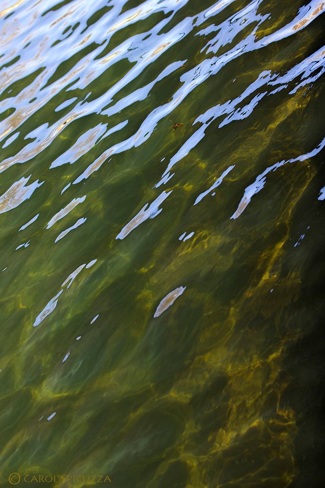 A pattern formed by the ripples in water.