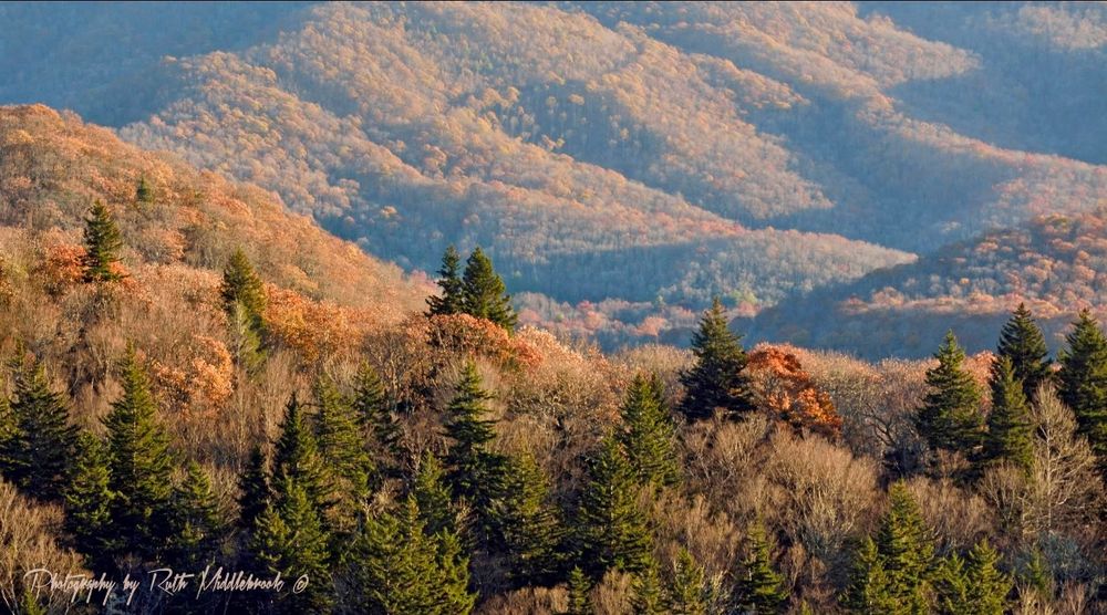 Tree covered hills in their autumn glory, softened by late afternoon sunlight.