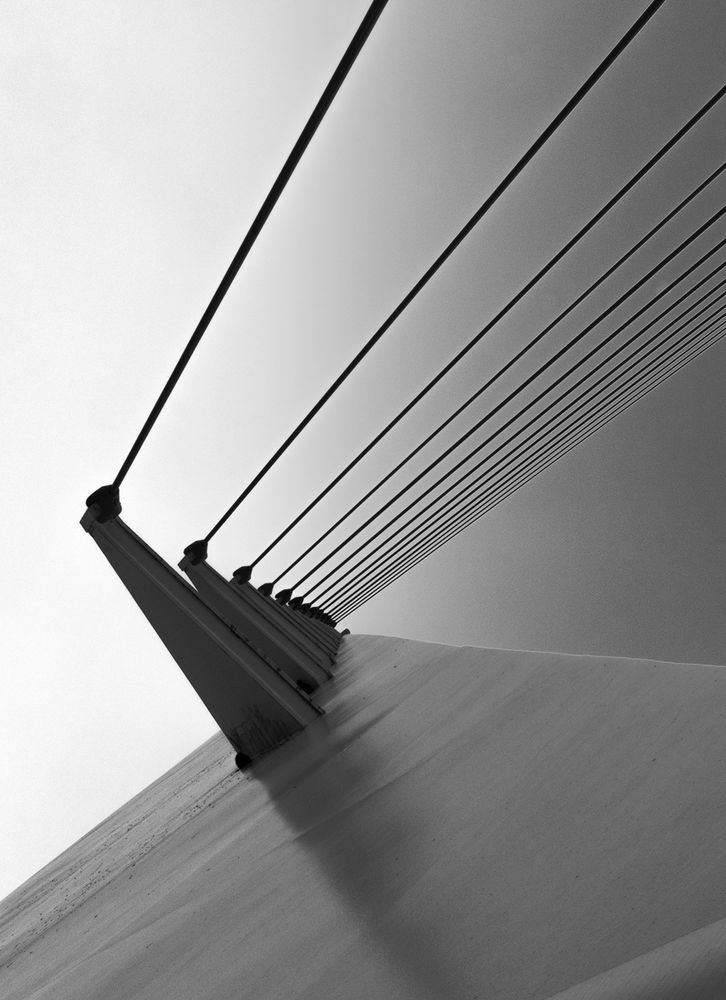 A skewed perspective of the cables that support the Sundial Bridge in Oregon, USA.