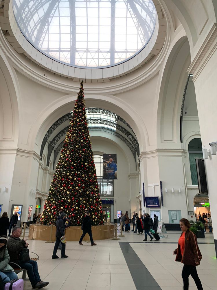 Riesiger Weihnachtsbaum in Dresden Hauptbahnhof 