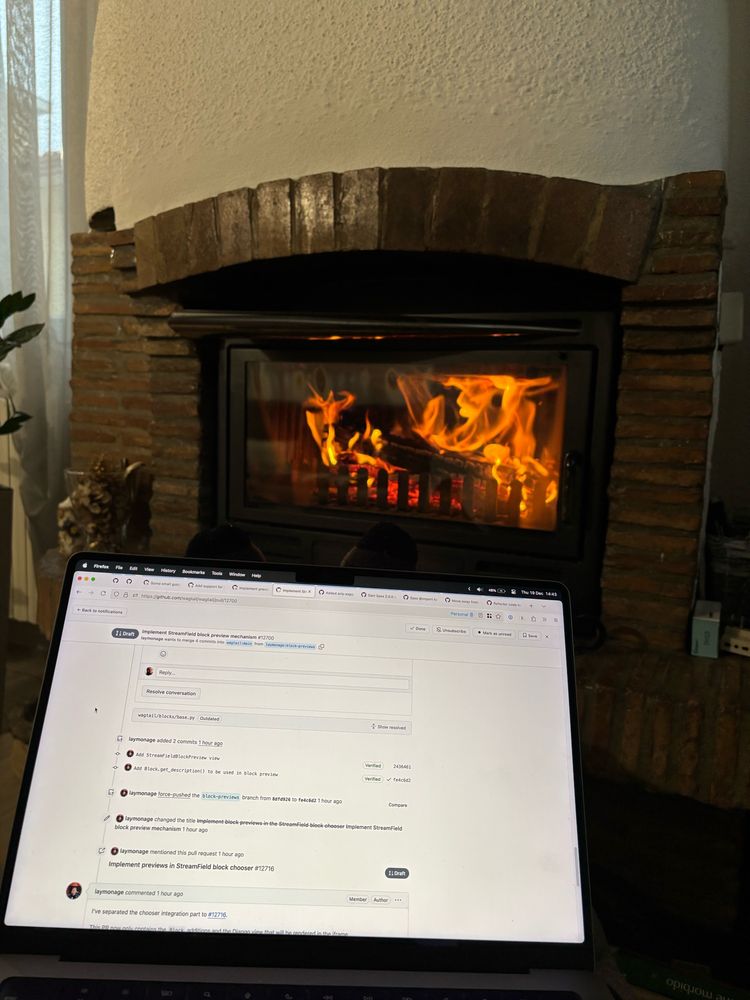 A lit fireplace in the background, a pair of fit warming up, and a laptop screen with the Wagtail GitHub in the foreground 