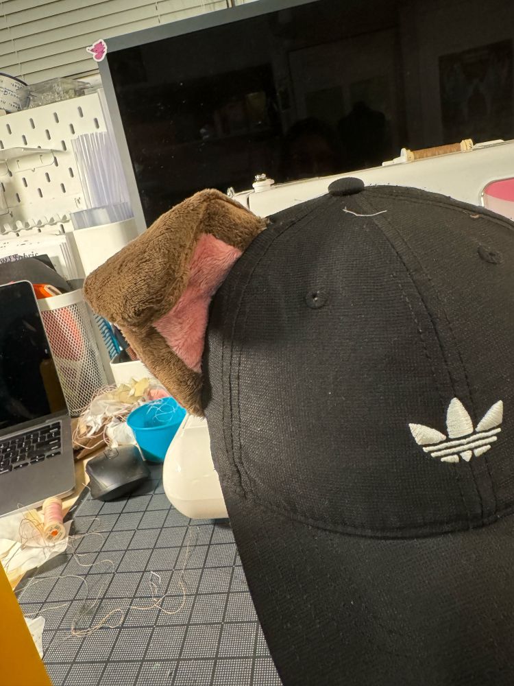 folder over puppy ear made out of minky attached to a baseball hat