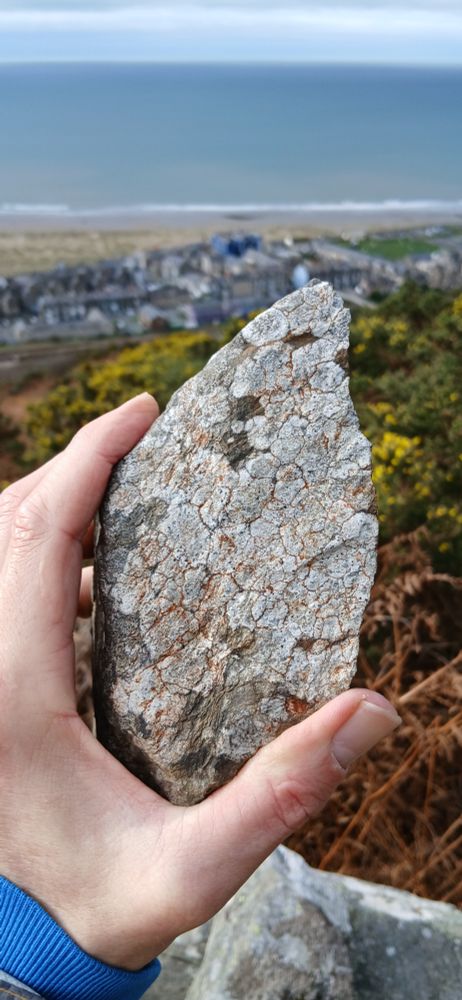 Rock covered in crustose lichen