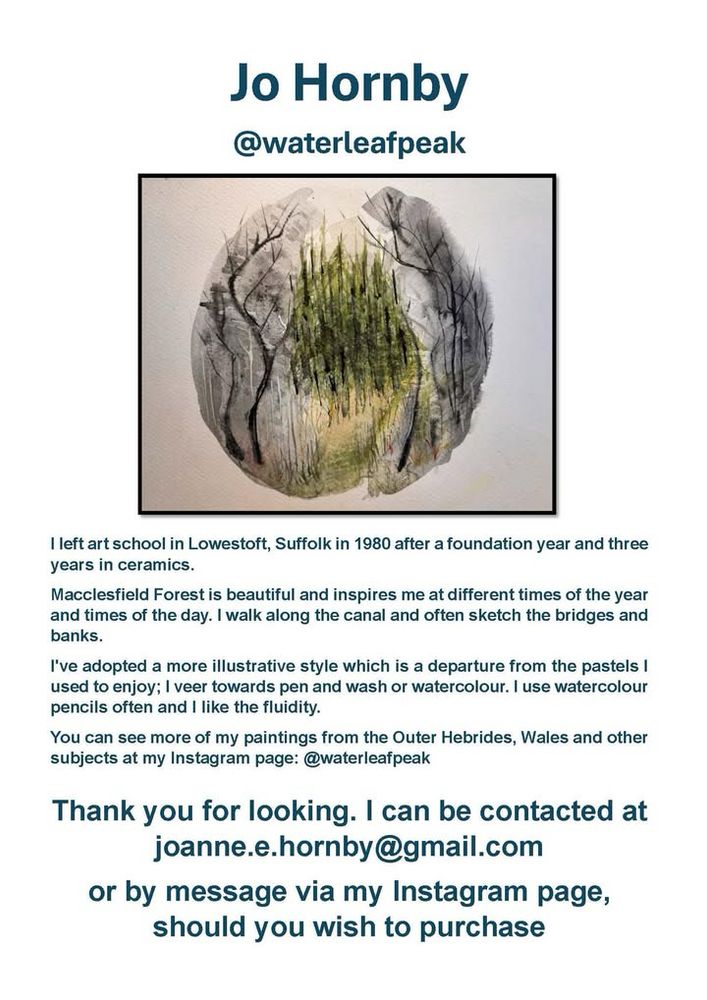 An image of an artist's promotional poster. It includes a central photo of an abstract painting resembling a textured tree bark or rock formation. Below the photo, there's a paragraph describing the artist's background and style, mentioning their departure from traditional methods to more abstract techniques incorporating watercolor and ink. Contact information is provided at the bottom for purchasing paintings. The name 'Jo Hornby' is featured prominently at the top.