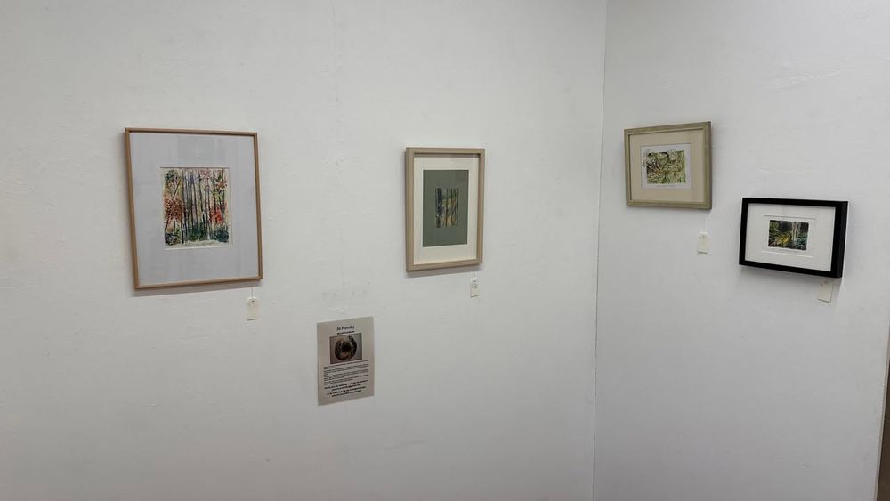 Four framed artworks are displayed on a white wall in an art gallery setting, each evenly spaced. Below the second artwork from the left, there's an informational plaque with an image.
