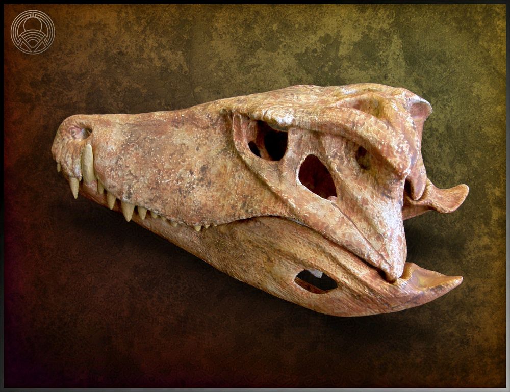 3D printed skull sculpture of Barinasuchus arveloi. Facing left with mouth closed.