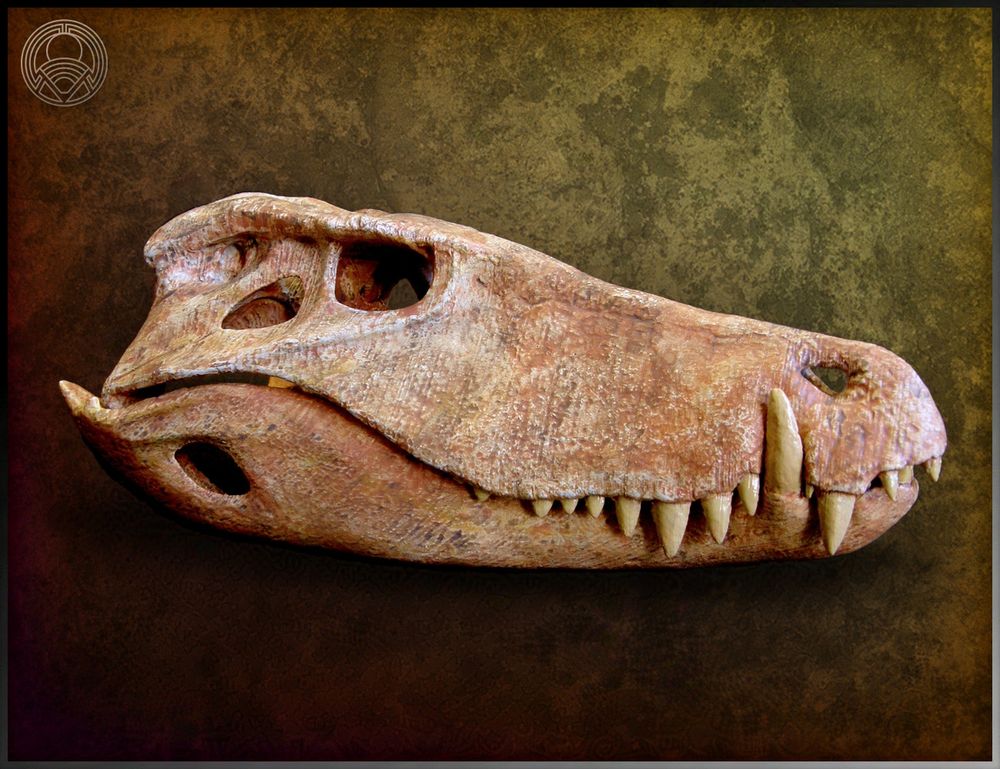 3D printed skull sculpture of Barinasuchus arveloi. Facing right with mouth closed.