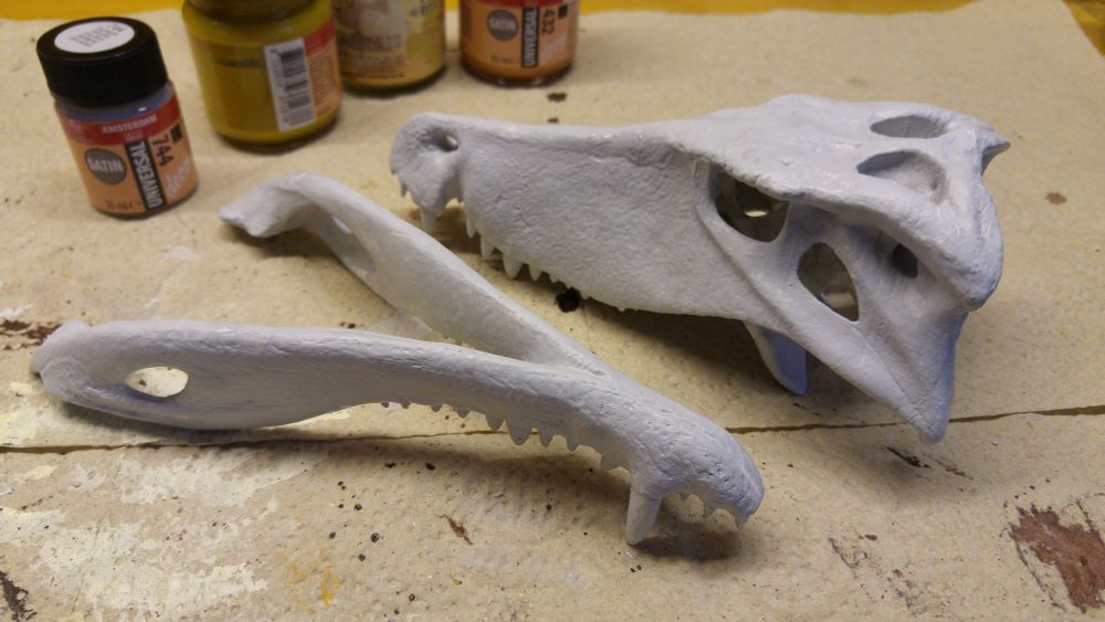 3D printed 1/6th scale skull sculpture of Barinasuchus with separated upside down jaws. Work in progress painting with the first layers done.