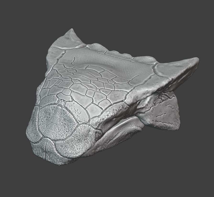 Work in progress skull sculpture of Ankylosaurus.