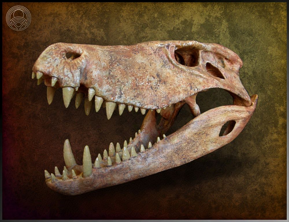 3D printed skull sculpture of Barinasuchus arveloi. Facing left with mouth open.
