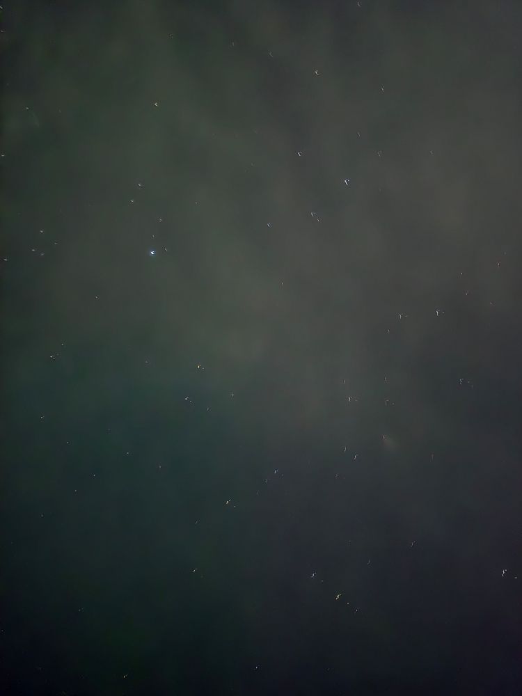 A poor photo of the stars