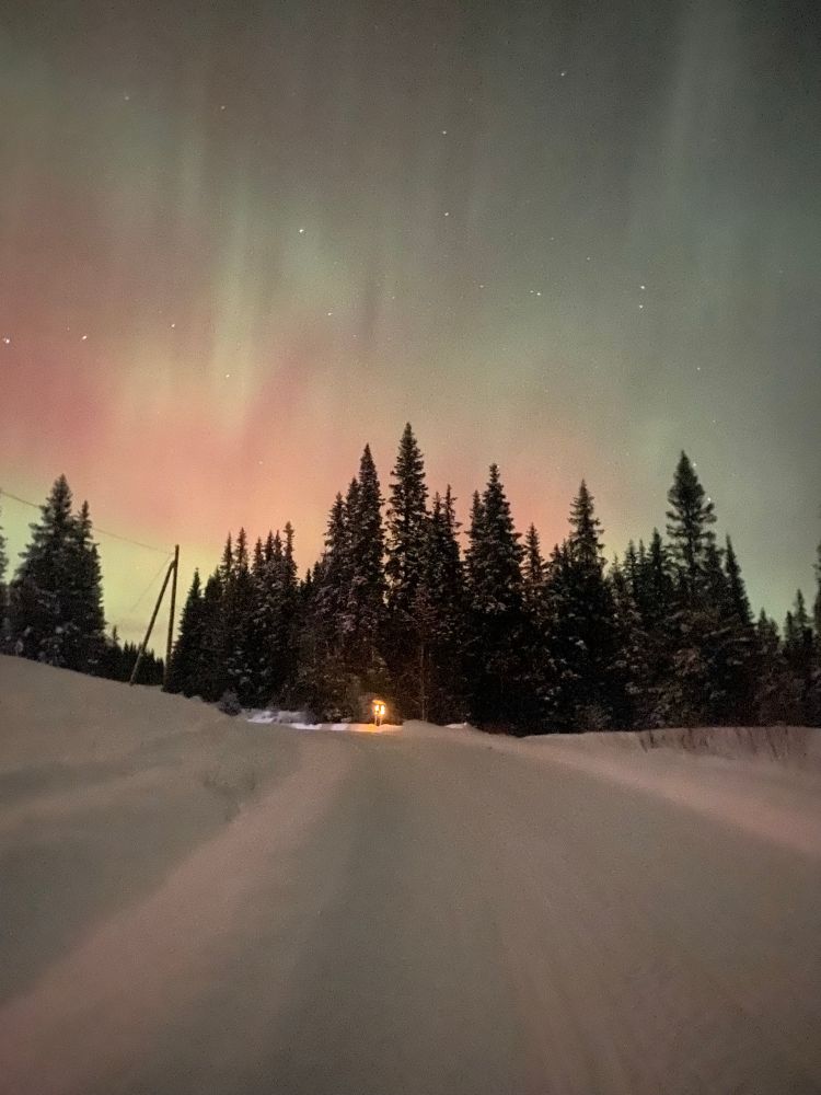 A farm in Norway illuminated by the Northern Lights