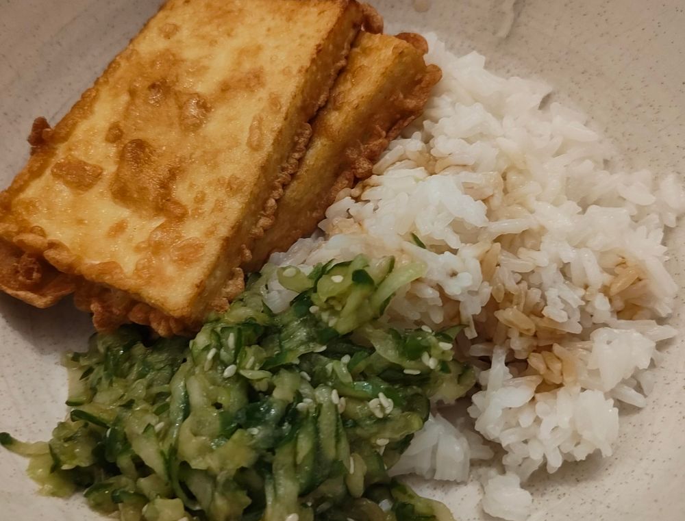 Two slices of crispy chicken-fried tofu with a shredded cucumber salad with sesame seeds and some jasmine rice dressed with melted butter and two drops of soy sauce