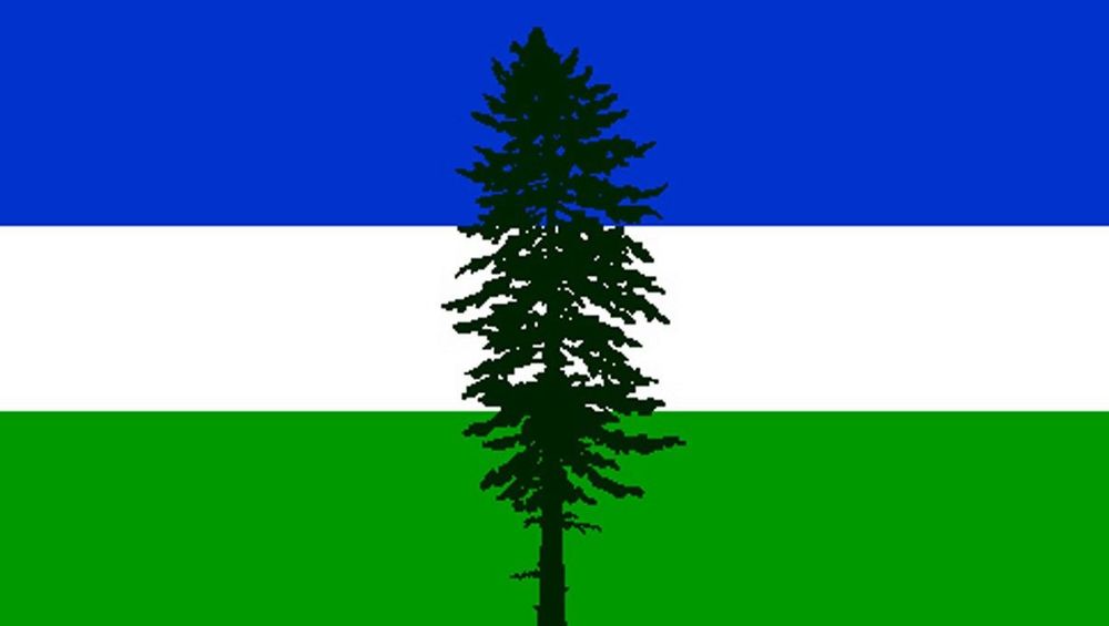Cascadia flag, three horizontal stripes of blue at the top, white in the middle, and green on the bottom. The silhouette of a Douglas fir in the centre 