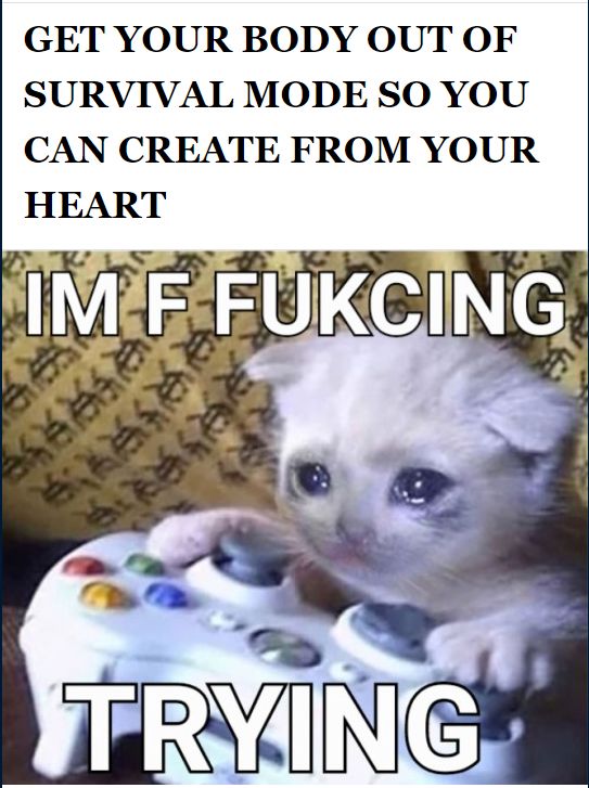 cat playing with an xbox controller, with text reading:
GET YOUR BODY OUT OF SURVIVAL MODE SO YOU CAN CREATE FROM THE HEART
with text overlayed on the cat saying:
I'M F FUKCING TRYING (sic)