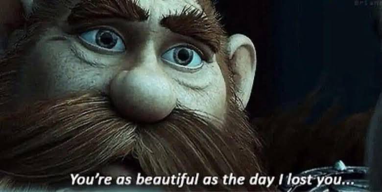 Shot from How to Train Your Dragon 2, Stoic saying “You’re as beautiful as the day I lost you…”